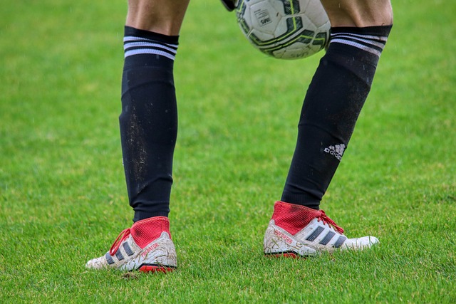 的逆境反击 的逆境反击