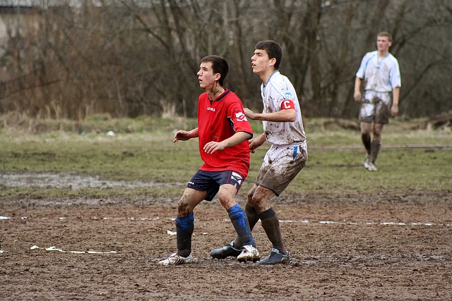 僅是養樂多 僅是養樂多