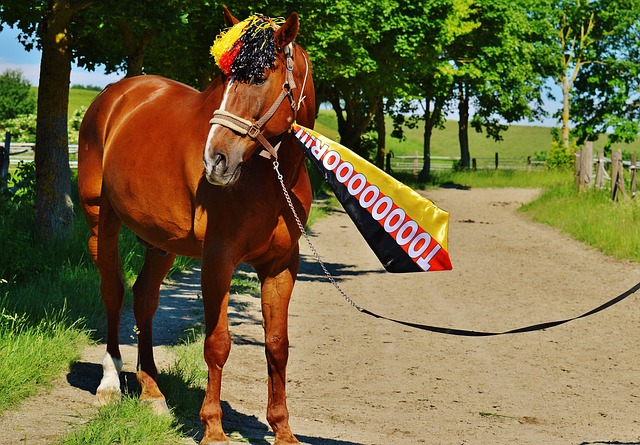 我们不难发 我们不难发