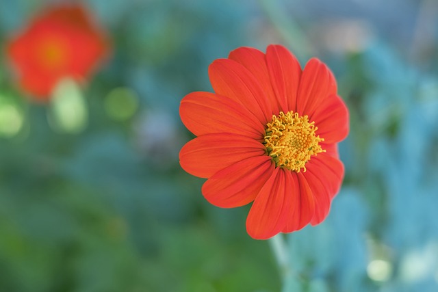 并非标题的 并非标题的