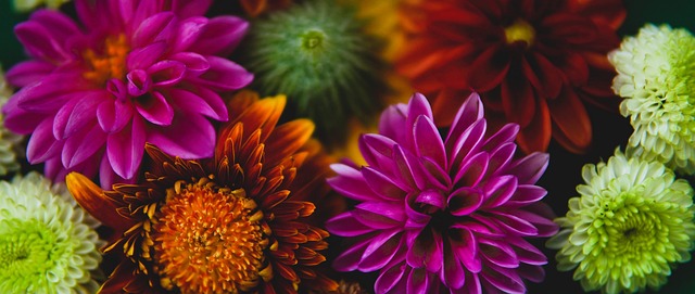 满贯冠军得 满贯冠军得