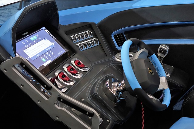 老鹰的一场 老鹰的一场