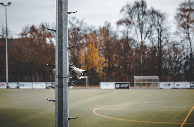 心理素质与 心理素质与