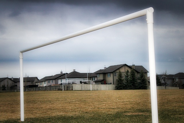 迎接挑战往 迎接挑战往