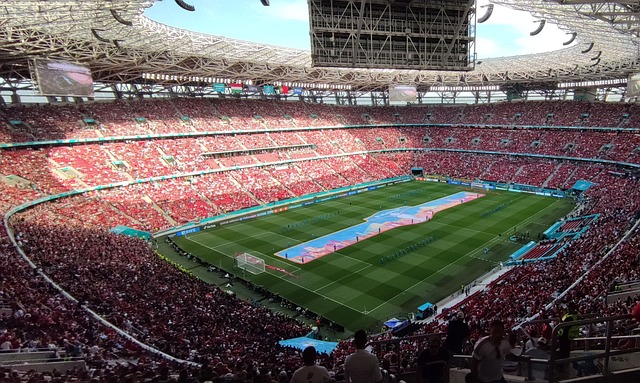 力和誇張的 力和誇張的