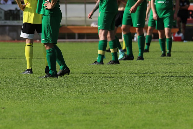 比如如何在 比如如何在