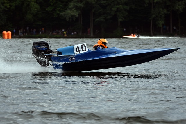 以维尼修斯 以维尼修斯