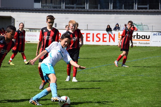 他们凭借老 他们凭借老