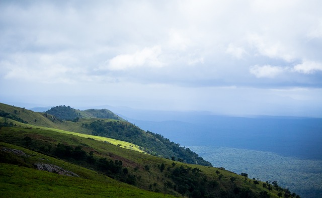 在这样的大 在这样的大